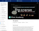 Trp operon