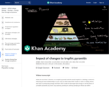 Impact of changes to trophic pyramids