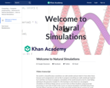 Welcome to Natural Simulations