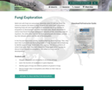 Fungi Exploration