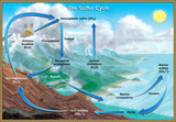 Biology, Ecology, Ecosystems, Biogeochemical Cycles