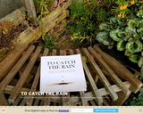 To Catch the Rain
