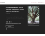Critical Employment, Ethical, and Legal Scenarios in Human Resource Development