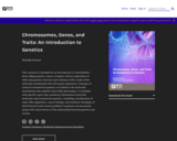 Chromosomes, Genes, and Traits: An Introduction to Genetics