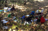 2nd Grade Measurement and Data in Nature