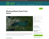 Photosynthesis Seen From Space