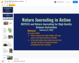 2022 WL BEETLES & Nature Journaling