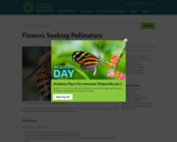 Flowers Seeking Pollinators