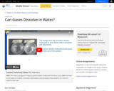 Lesson 5.8: Can Gases Dissolve in Water?