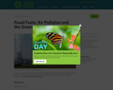 Fossil Fuels: Air Pollution and the Greenhouse Effect
