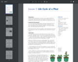 Life Cycle of A Plant