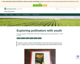 Exploring pollinators with youth