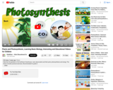 Plants and Photosynthesis, Learning Basic Biology, Interesting and Educational Videos for Children