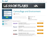 Camouflage and Environment Lesson Plan