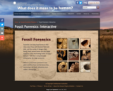 Fossil Forensics: Interactive