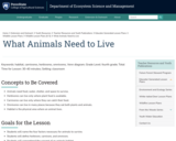 What Animals Need to Live