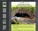 Design a Bird Feeder