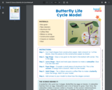 Life Cycle of a Butterfly