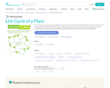 Life Cycle of a Plant