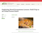Exploring Novel Ecosystems Lesson: Field Trip to an Urban Forest Patch
