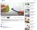 Crayon Leaf Rubbing | Science Project