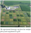 Growing Energy Comparing Biofuel: HQIM Evaluative Rubric