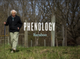 Phenology | Climate Wisconsin