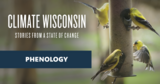Phenology | Climate Wisconsin