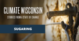Sugaring | Climate Wisconsin