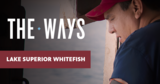 Lake Superior Whitefish | The Ways