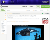 Sea World Announces End to Killer Whale Breeding