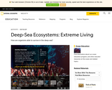 Deep Sea Ecosystems: Extreme Living