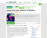 Human Skin Color:  Evidence for Selection