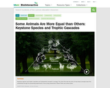 What's So "Key" About A Keystone Species
