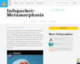 Metamorphosis Infographic - Kids Discover