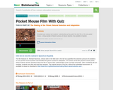 The Making of the Fittest: Natural Selection and Adaptation: The Pocket Mouse: HHMI Biointeractive