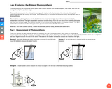 Lab: Exploring the Rate of Photosynthesis