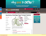 Quantitative Physiology: Organ Transport Systems, Spring 2004