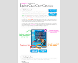 An Interactive Introduction to Equine Coat Color Genetics