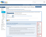 Modeling the Complexities of the Carbon Cycle Utilizing Excel