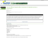 How Do Different Liquids Affect Movement of Materials Across a Membrane?