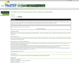 Visualizing Photosynthesis and Cellular Respiration