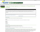 Energy Flow through Organisms: An Introduction to Photosynthesis and Respiration