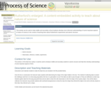 Rutherford's Enlarged: A Content-embedded Activity to Teach About Nature of Science