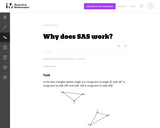 Why Does SAS Work?