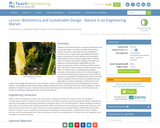 Biomimicry and Sustainable Design - Nature Is an Engineering Marvel