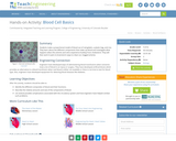 Blood Cell Basics