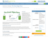 The Great Algae Race
