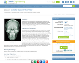 Skeletal System Overview