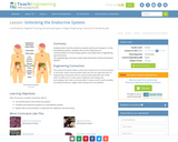 Unlocking the Endocrine System